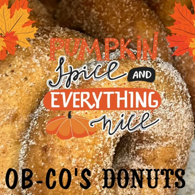 🎃🍩 PLOT TWIST… PUMPKIN DONUTS ARE BACK! 🍩🎃

Summer isn’t over, but apparently pumpkin season didn’t get the memo. 😂

Our PUMPKIN DONUTS are officially back at Ob-Co’s! 🧡

Beach days + pumpkin donuts?
We’re not mad about it. 😋🎃