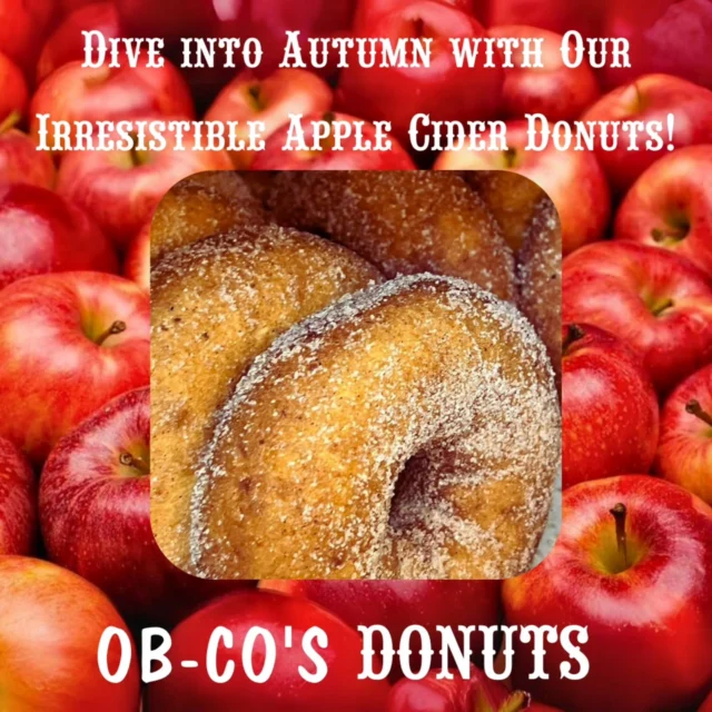 🍁 Fall flavors are calling! 🍎🍩 Happy Fall, Y’all! Come enjoy a delicious apple cider donut from Ob-Co’s Donuts. You can't go wrong with this classic! ❤️

#ObCosDonuts #AppleCiderDonuts #Since1953 #JerseyShoreEats